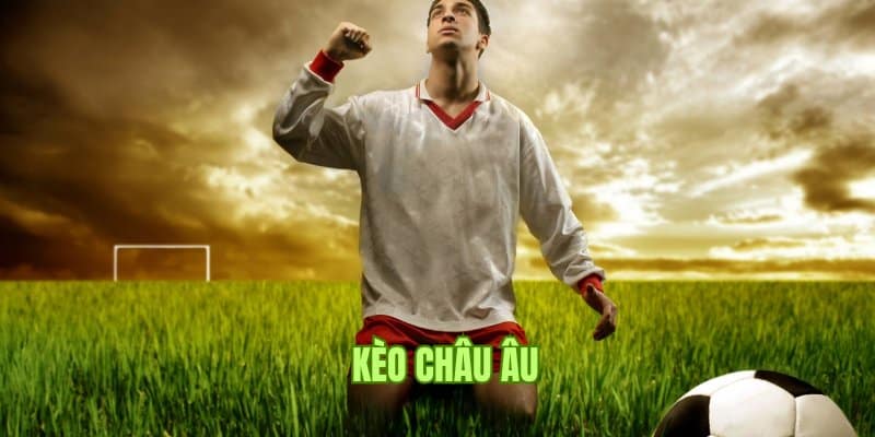 Kinh nghiệm vào tiền kèo 1x2 dễ dàng